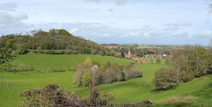 view